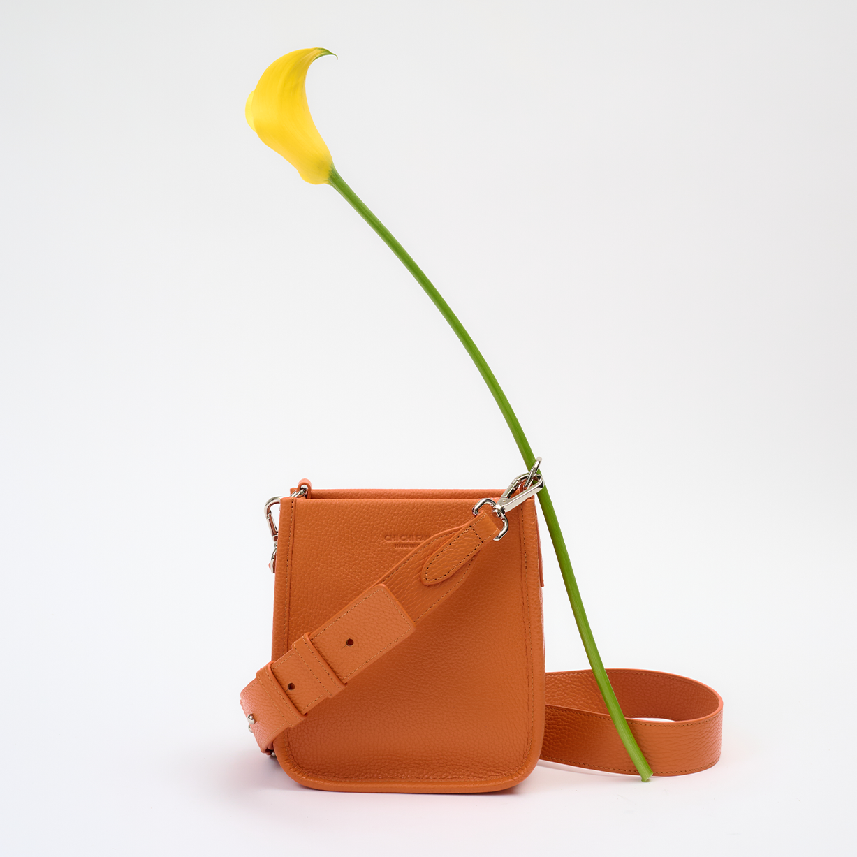Carry Bag S