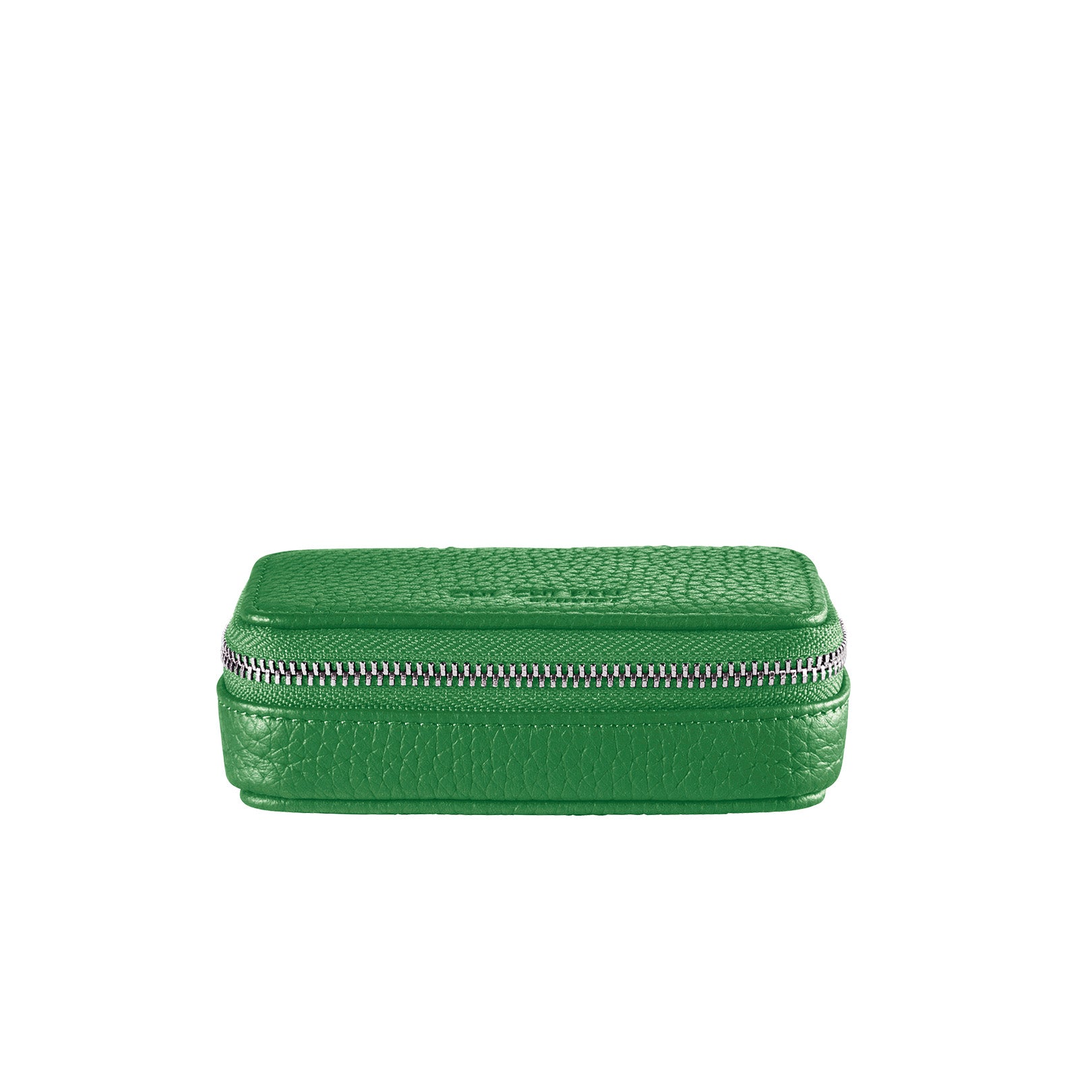 Little Case Green Ray