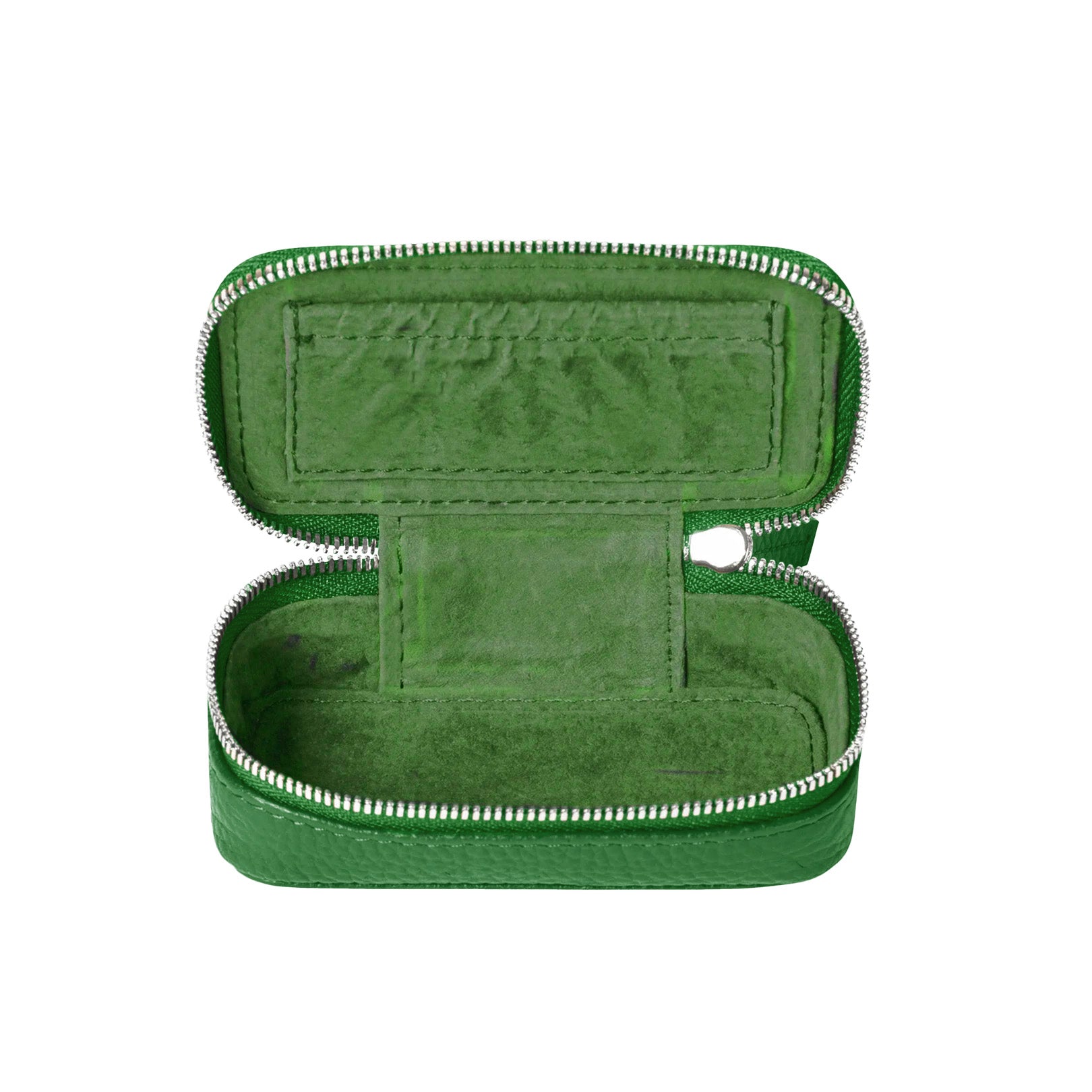Little Case Green Ray